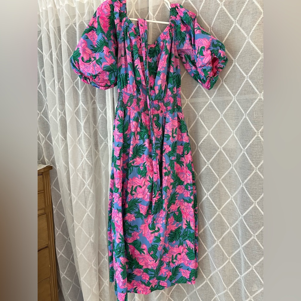 Lilly Pulitzer Pink and Green Floral Dress
